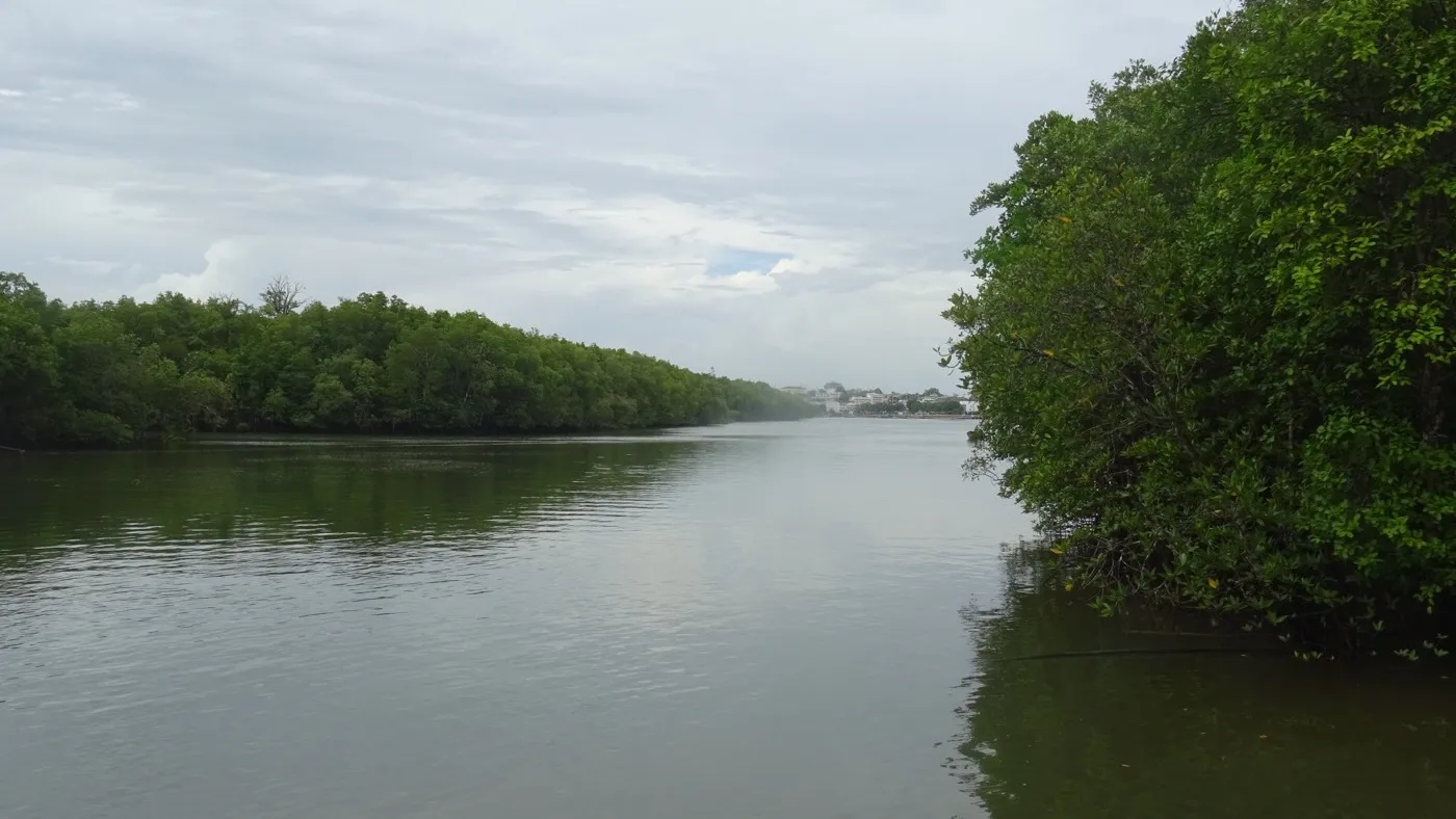 Der ruhige Krabi River, gesäumt von dichtem grünem Mangrovenwald; die Stadt ist in der Ferne gerade noch zu erkennen