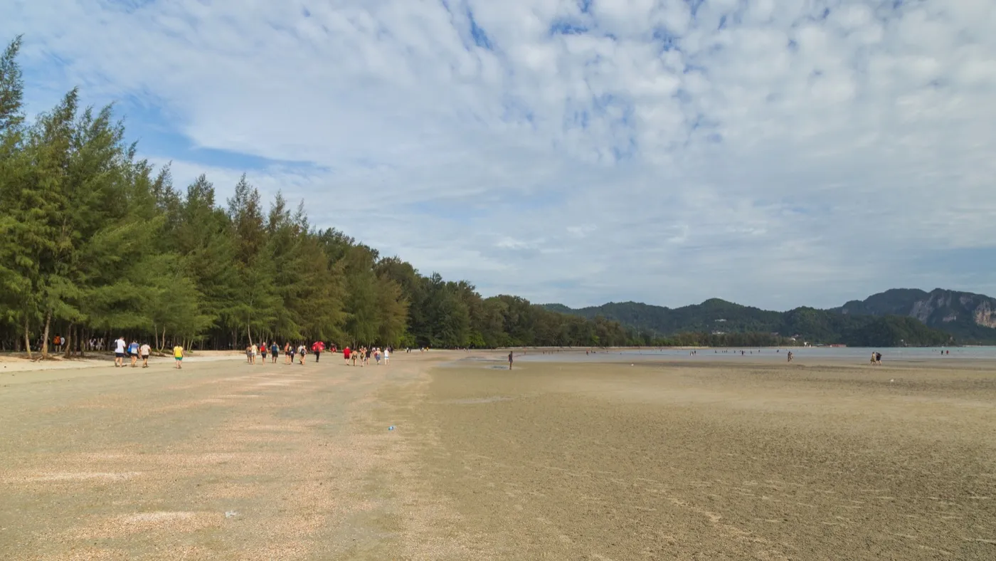 A wide, casuarina-shaded stretch of sand at Nopparat Thara Beach, with people walking near the treeline and jungle hills across the bay